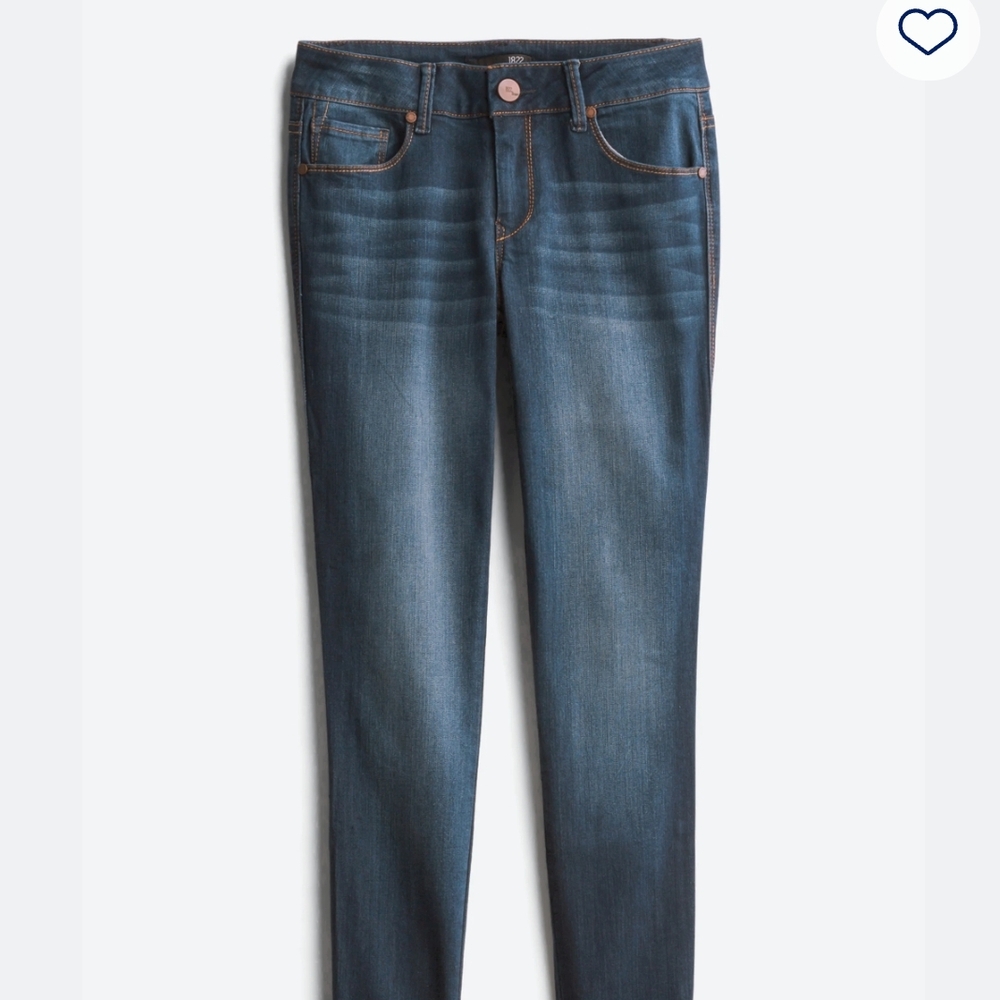 1822 Denim Berlin Lowrise Blue Women's Skinny Jeans
